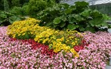Lübeck, Hamburg a mezinárodní zahradnická výstava - Německo - Hamburg - Planten un Blomen
