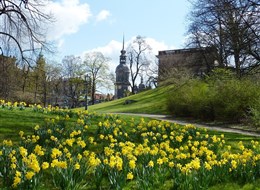 Drážďany, Míšeň, zahrady a kamélie v Pillnitz a výstava orchidejí 2021 Bavorsko Německo - Drážďany v jarním hávu.