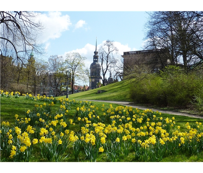 Drážďany, Míšeň, zahrady a kamélie v Pillnitz a výstava orchidejí 2022 - Německo - Drážďany v jarním hávu.