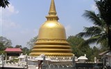 Srí Lanka, tropický ráj zvířat 2024 - Sri Lanka -  Damboula, chrám zlatého Budhy