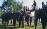 To nejlepší z Indie a Nepálu s možností návštěvy Tibetu - Indie - NP Čitvan - nástup na vyjíždku na slonech
