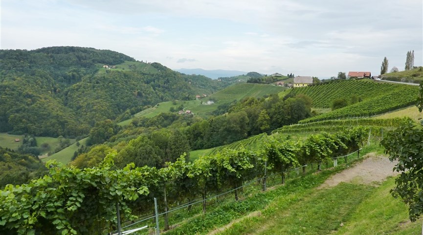 Štýrsko, zážitkový týden mnoha nej s termály vínem a Medvědí soutěska  Rakousko - Štýrsko - Kitzeck, mikroklima je tu tak teplé, že zde dozávají fíky
