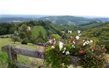 Do Štýrska za vínem, přírodou, architekturou, koupáním a Hundertwasserem - Rakousko - Štýrsko - Kitzeck im Sausal, nejvýše položené vinice v Evropě