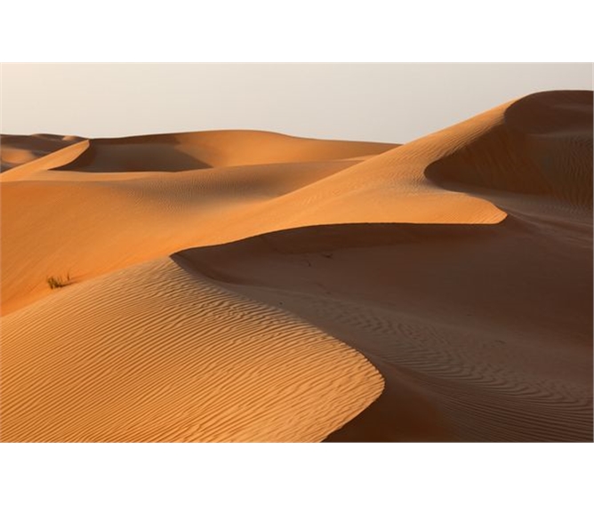 Spojené arabské emiráty, perla luxusu - SAE - Abu Dhabi - poušť