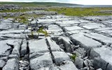 Irsko - Irsko - Burren, hezky je vidět síť původních puklin v hornině