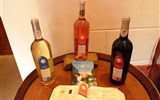 Gastronomie krajů Gaskoňsko a Languedoc - Francie - Languedoc - Abbaye de Fontfroide, vína ze zdejší lokality
