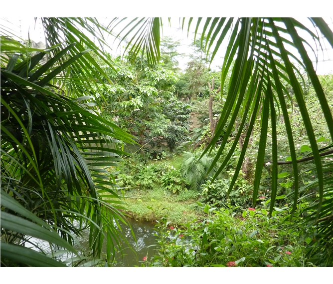 Gondwanaland a advent v Lipsku - Německo - Lipsko - Gondwanaland, džungle vládne v bývalé hale na výrobu vzducholodí