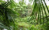 Lipsko - Německo - Lipsko - Gondwanaland, džungle vládne v bývalé hale na výrobu vzducholodí