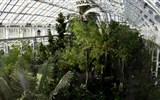 Londýn a královské parky a zahrady Anglie - Velká Británie - Anglie - Londýn, Kew gardens