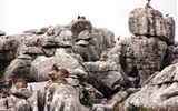 Andalusie, památky UNESCO a přírodní parky 2023 - Španělsko - Andalusie - překvapivé setkání v přírodním parku El Torcal