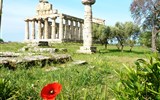 Kalábrie a Apulie, toulky jižní Itálií s koupáním 2021 - Itálie - Paestum - Athénin chrám, 500 př.n.l, v dórsko-ińské slohu
