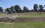 Metaponto - Itálie - Metaponto - zbytky amfiteátru