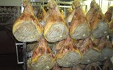 Parma - Itálie - Emilia - Parmu pro mnohé představuje parmská šunka (z exkurze ve výrobně)