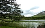 Irsko - smaragdový ostrov 2023 - Irsko - NP Connemara - voda a rašeliniště