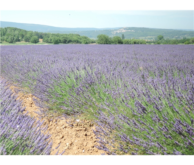 Provence a krásy Azurového pobřeží letecky 2021 - Francie - Provence - kraj voní levandulí