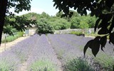 Přírodní parky a památky Provence s koupáním 2021 - Francie - St-Paul-de Mausole