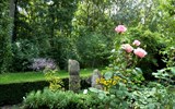 Tullnské zahrady - Rakousko - Tulln - Japonská zahrada, krása zakletá v  květech růží