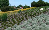 Velikonoce v Lužici, křižácké jízdy a jarní zahrady 2023 - Německo - Nochten - Findlingspark, přes 500 druhů trvalek