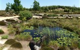 Park bludných balvanů - Německo - Nochten - Findlingspark, několik typů zahrad - skalka, vřesová zahrada, rybníček