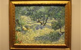 Albertina - Rakousko - Vídeň - Albertina, z výstavy Van Gogha