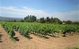 Přírodní parky a památky Provence 2023 - Francie - Provence - v okolí Bonnieux se vyrábí AOC vína Ventoux a Luberon.