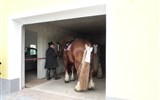 Ralbicy - Německo - Lužice - Ralbicy, na koně čeká garáž, auto může stát venku