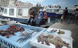 Gastronomie Provence - Francie - Provence - Marseilles, rybí trh