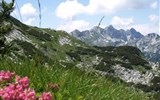 Alpy s kartou - Slovinsko - Národní park Julské Alpy
