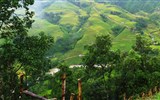 Vietnam - Vietnam - v hornatém terénu jsou svahy pokryty terasovými políčky