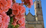 Andalusie, památky UNESCO a přírodní parky 2022 - Španělsko - Andalusie - Antequera, prolínání krásy květů a krásy architektury (foto Petra Dohodilová)