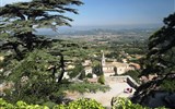 Bonnieux - Francie - Provence - Bonnieux v náruči cedrů