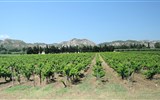 Vína z Provence - Francie - Provence - zdejší vína jsou aromatická, vyzrálá, voní po bylinkách, rozpálených kamenech a ovoci
