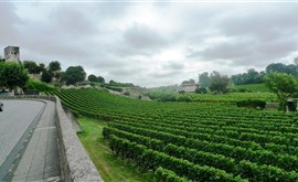 Vína Bordeaux