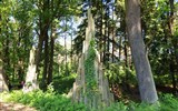 Kromlau, Bad Muskau a Nochten, zahradní ráj 2020 - Německo - Kromlau - v zámeckém parku se vyskytují drobné stavbičky z čedičových sloupů