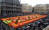 květinový koberec - Belgie - Brusel, Tapis de Fleurs, téma 2012 Afrika, 2010 Brusel centrum Evropy.