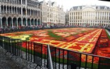 Holandsko a Belgie, země, které stojí za to navštívit - Belgie - Brusel - Tapis de Fleurs