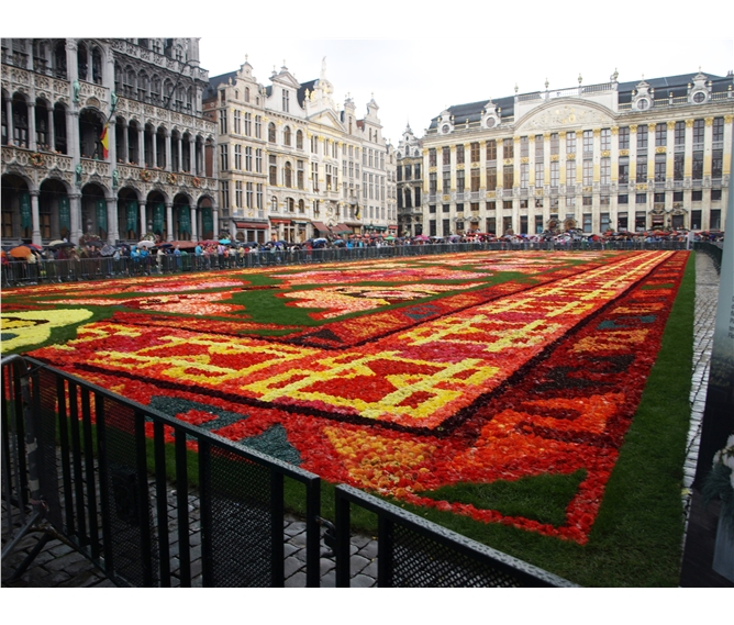 Belgie, umění, památky UNESCO, gastronomické zážitky či květinový koberec 2022 - Belgie - Brusel, květinový koberec, vždy na svátek Nanebevzetí P.Marie