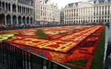 Belgie, památky UNESCO - Belgie - Brusel, květinový koberec, vždy na svátek Nanebevzetí P.Marie