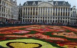 květinový koberec - Belgie - Brusel, květinový koberec, přes 500.000 begónií
