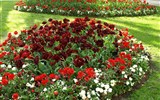 Květinové slavnosti - Rakousko - Bad Ischl - Kurpark - nádherné květinové záhony před Kurhausem (divadlo a kongresové centrum)