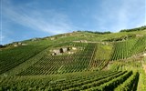 Vinařská oblast kolem Mosely a Rýna - Německo - Mosela - nejkvalitnější vína této oblasti nesou označení QmP
