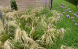 Kittenberské zahrady - Rakousko - Kittenbergské zahrady, Letní zahrada a kouzlo trav