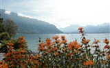 Ženevské jezero - Švýcarsko - Ženevské jezero čili Lac Léman čili Lago di Ginevra