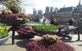 Nizozemsko - krajina větrných mlýnů, tulipánových polí a sýrů - Holandsko - Haag - nábřeží plné květů