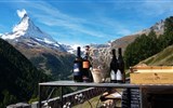 Slavnosti vína, piva a gastronomie - Švýcarsko - Gourmetweg nabízí víno i krásu okolní přírody