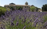 Provence s vůní levandule a koupáním, letecky 2021 - Francie - Provence - St.Paul de Mausolée, jak lehce se vcítíš do Goghových obrazů