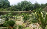 Parque Terra Nostra - Portugalsko - Azory - Furnas, zahrady Terra Nostra, Údolí cykasů