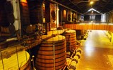 Bordeaux a Akvitánie, památky, víno a vlny Atlantiku letecky 2023 - Francie - Cognac - exkurze u firmy Martell, tady vzniká koňak (foto P.Michal)