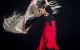 Andalusie ve víru flamenca - Španěksko - tanečnice flamenca (Wiki-Flavio)