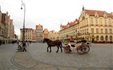 Wroclaw, město sta mostů, zahrady i zlatý důl Slezska 2022 - Polsko - Vratislav (Wroclaw), hlavní náměstí, tzv. Rynek, 213x178 m, jedno z největších v Evropě